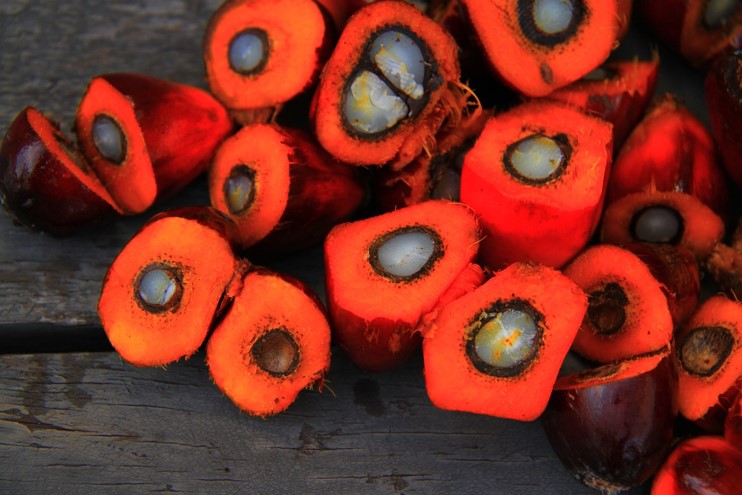 What Is Palm Oil?